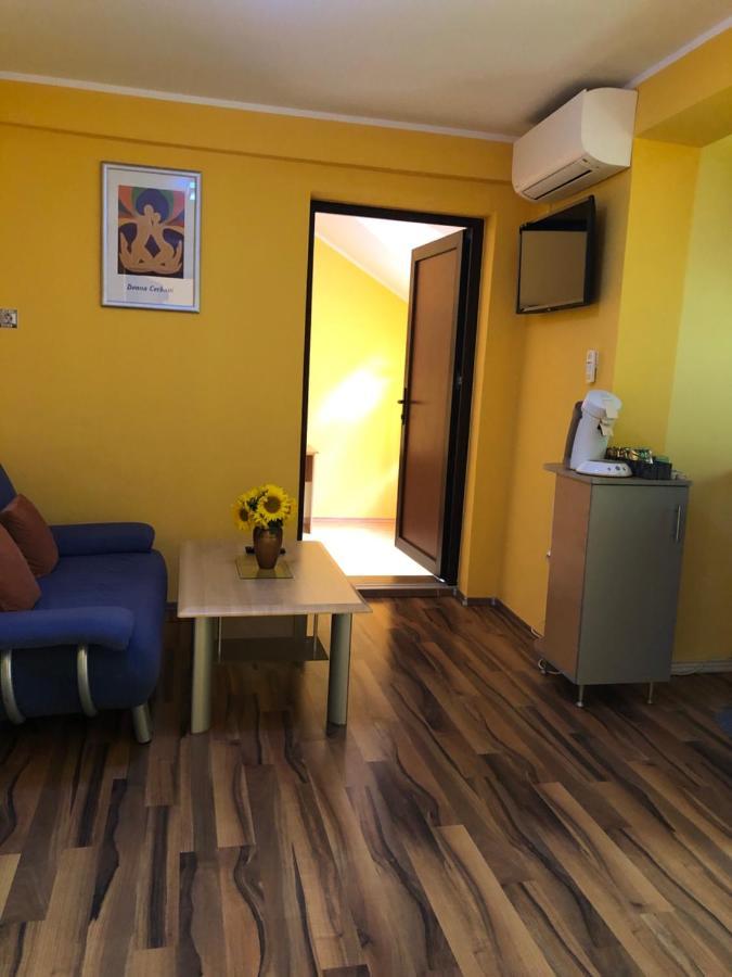Pensiunea Haus Paltinul سيبيو المظهر الخارجي الصورة
